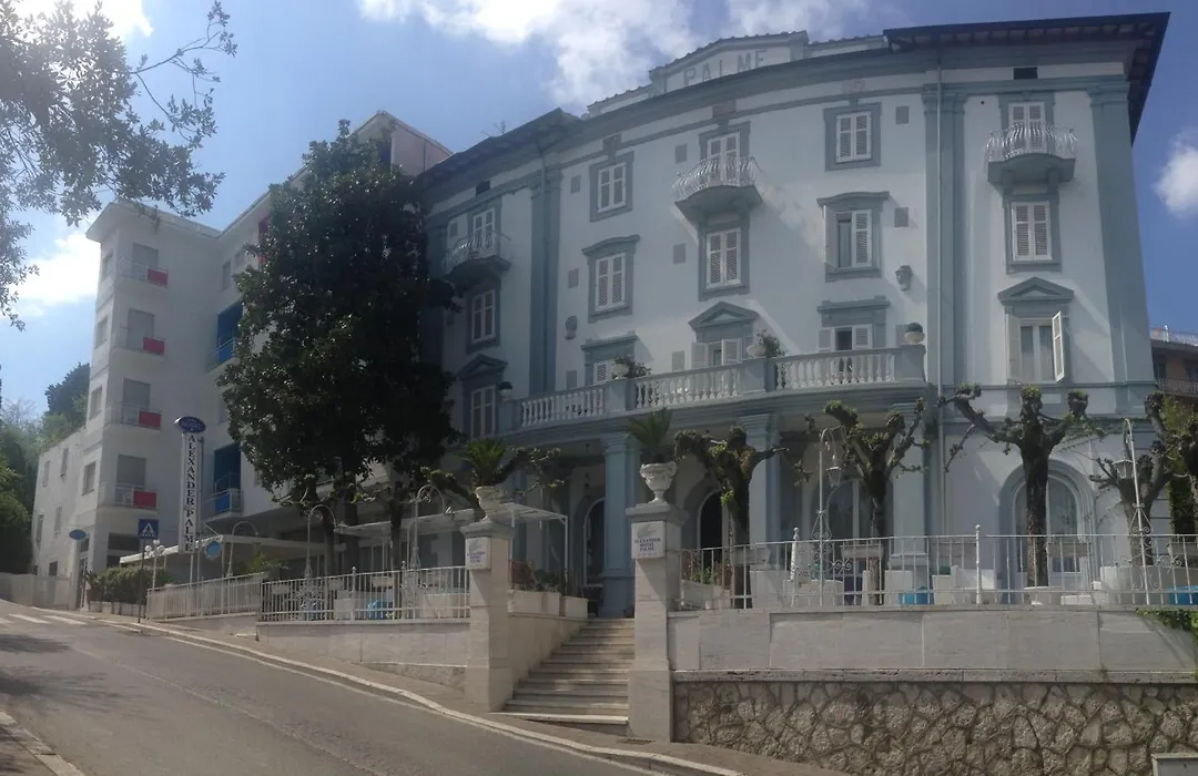 Hotel Alexander Palme-1